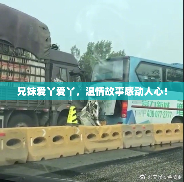 兄妹爱丫爱丫，温情故事感动人心！