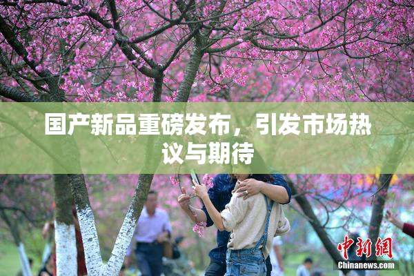 国产新品重磅发布，引发市场热议与期待