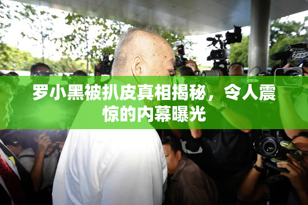 罗小黑被扒皮真相揭秘，令人震惊的内幕曝光