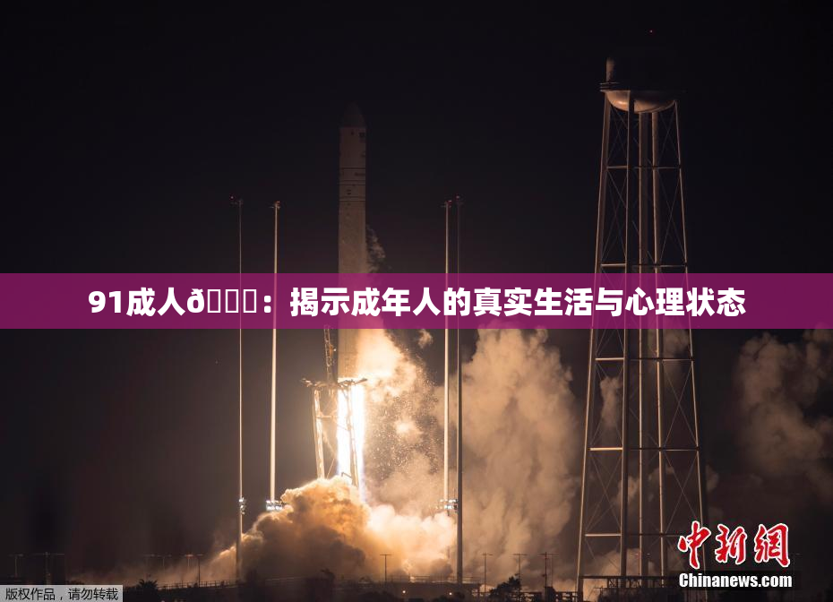 91成人🔞：揭示成年人的真实生活与心理状态