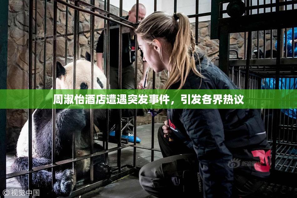 周淑怡酒店遭遇突发事件，引发各界热议