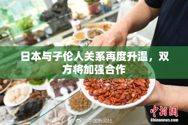 日本与子伦人关系再度升温，双方将加强合作