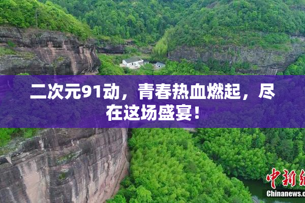 二次元91动，青春热血燃起，尽在这场盛宴！