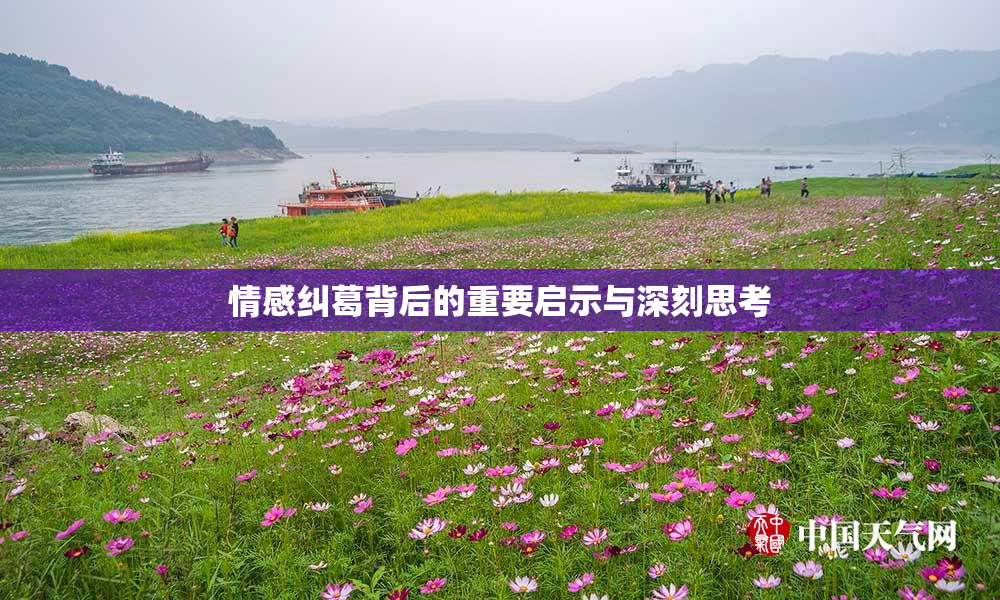 情感纠葛背后的重要启示与深刻思考