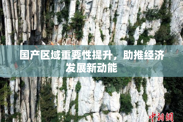 国产区域重要性提升，助推经济发展新动能