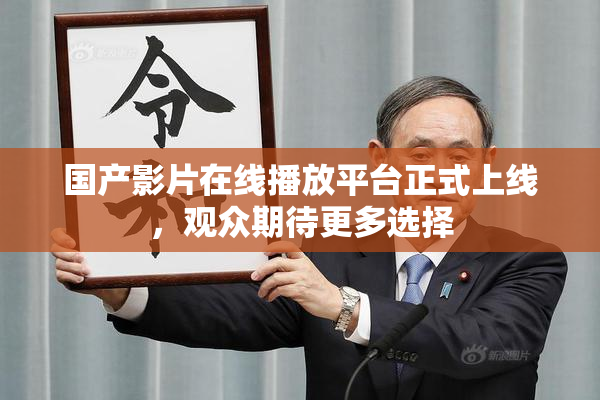 国产影片在线播放平台正式上线，观众期待更多选择