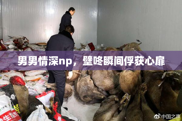 男男情深np，壁咚瞬间俘获心扉