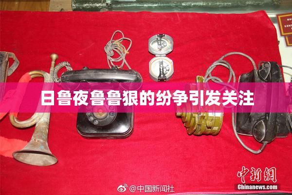 日鲁夜鲁鲁狠的纷争引发关注
