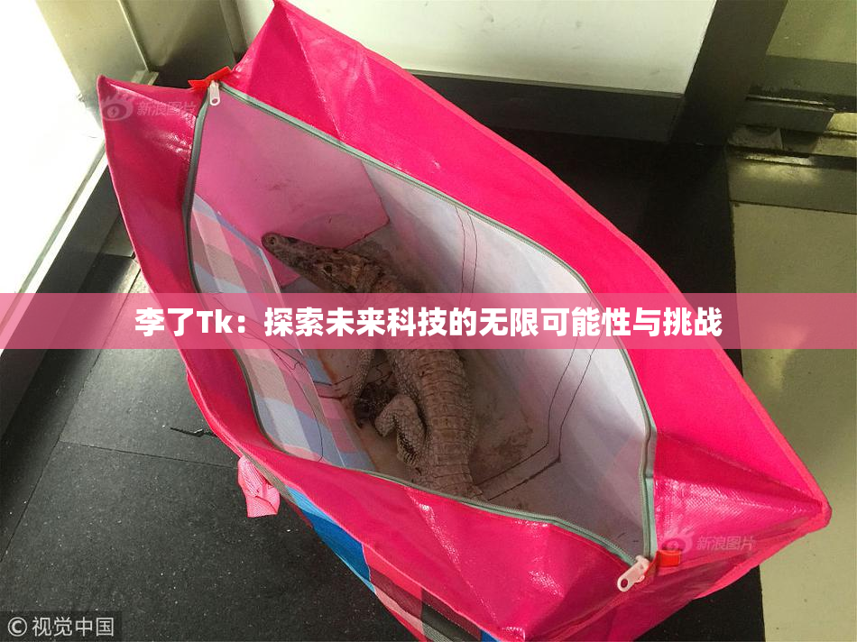 李了Tk：探索未来科技的无限可能性与挑战