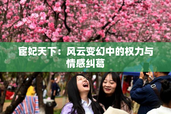 宦妃天下：风云变幻中的权力与情感纠葛