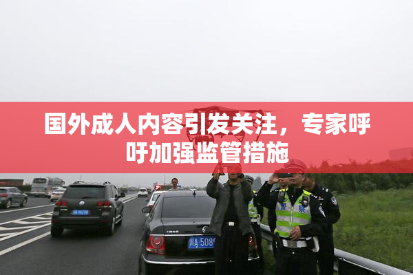 国外成人内容引发关注，专家呼吁加强监管措施