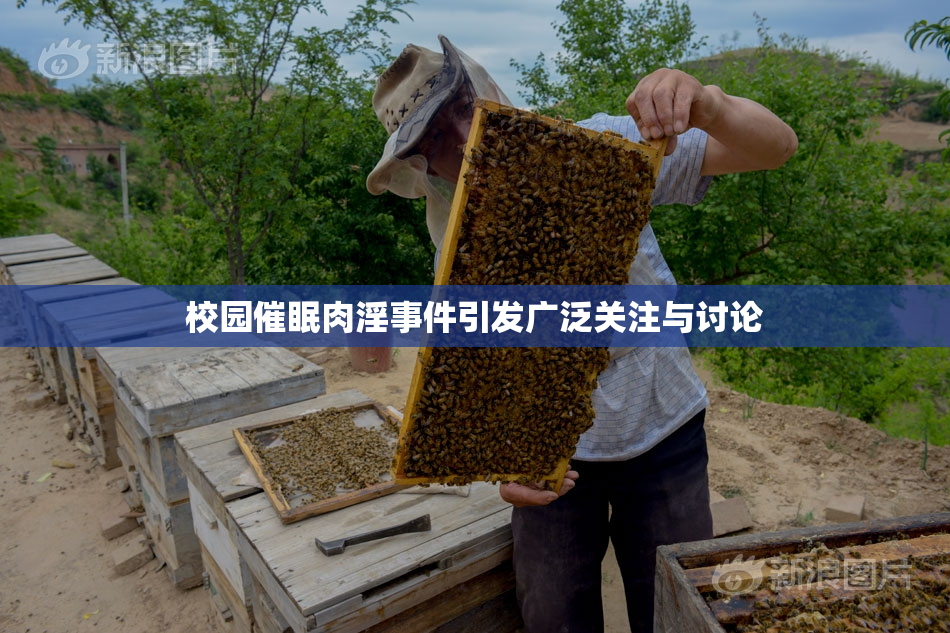 校园催眠肉淫事件引发广泛关注与讨论