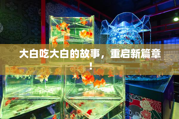 大白吃大白的故事，重启新篇章！