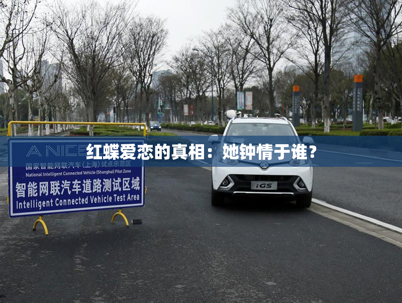红蝶爱恋的真相：她钟情于谁？