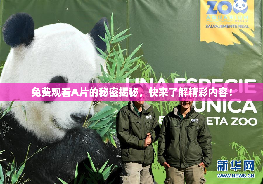 免费观看A片的秘密揭秘，快来了解精彩内容！
