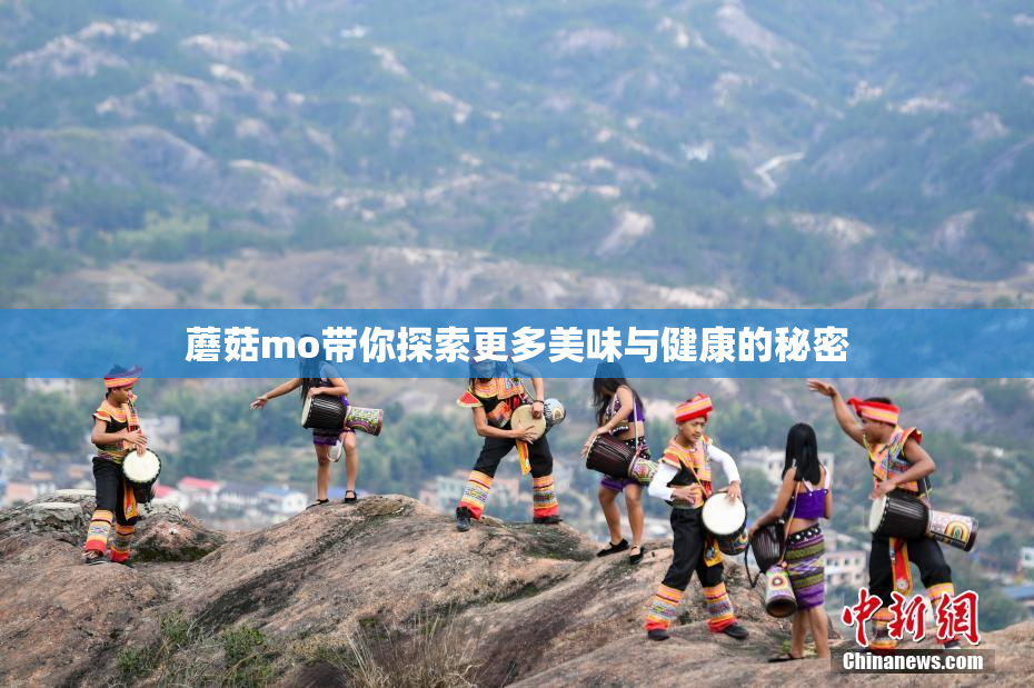 蘑菇mo带你探索更多美味与健康的秘密