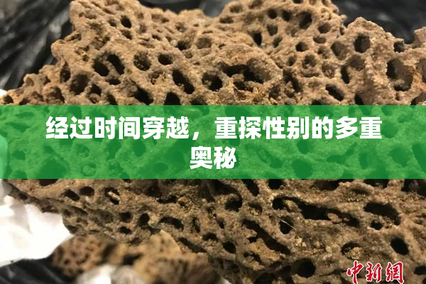 经过时间穿越，重探性别的多重奥秘