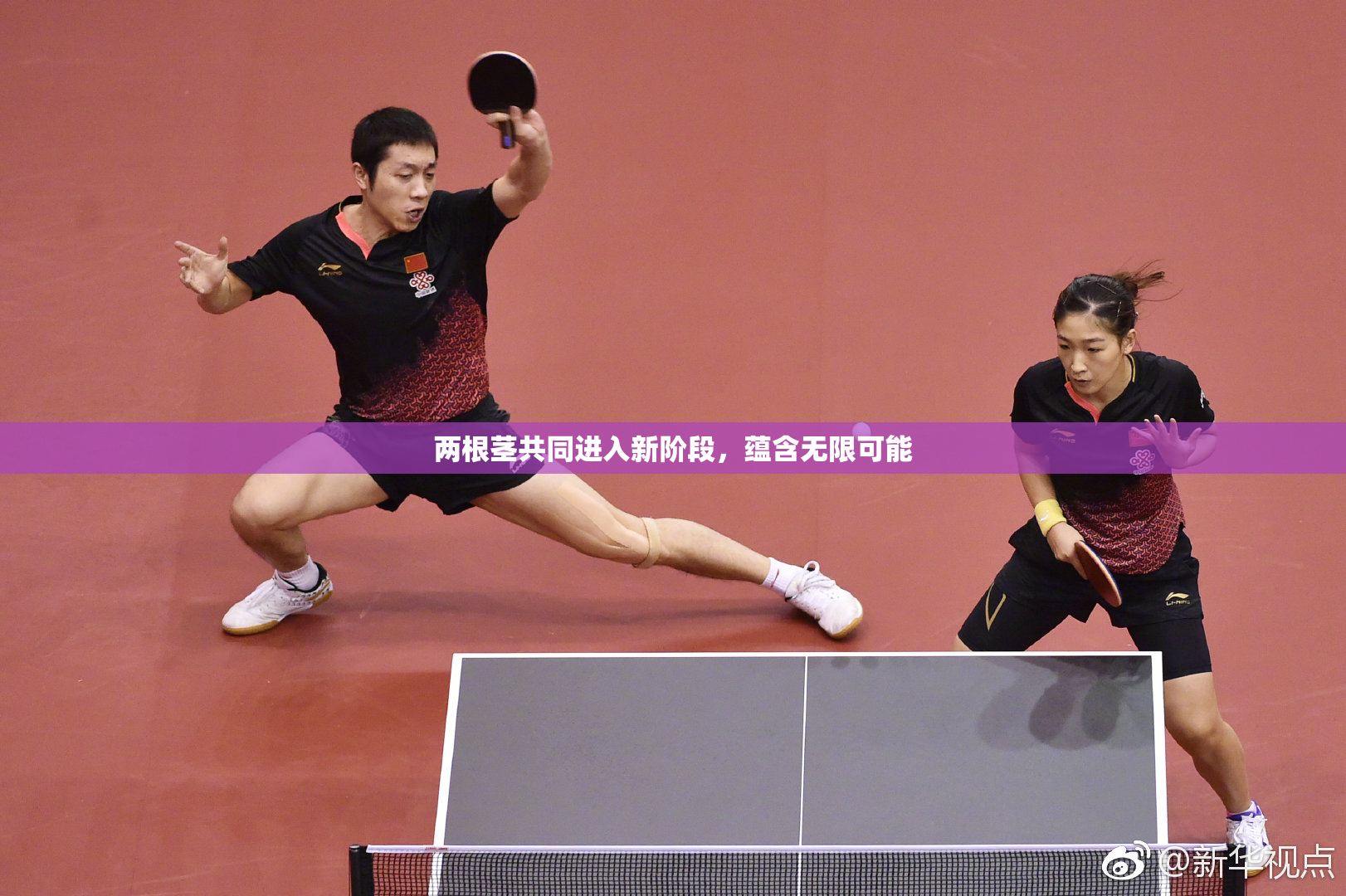 两根茎共同进入新阶段，蕴含无限可能