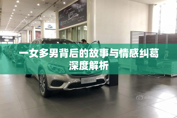 一女多男背后的故事与情感纠葛深度解析