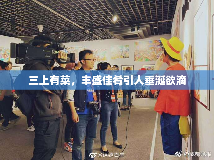 三上有菜，丰盛佳肴引人垂涎欲滴