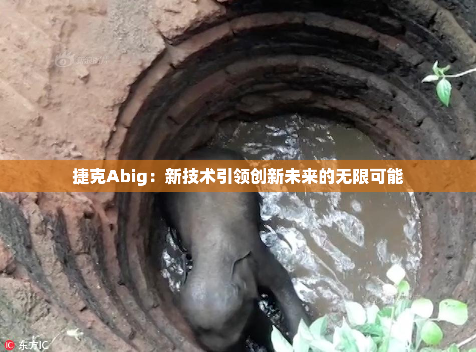 捷克Abig：新技术引领创新未来的无限可能