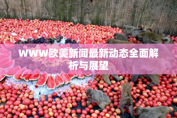WWW欧美新闻最新动态全面解析与展望