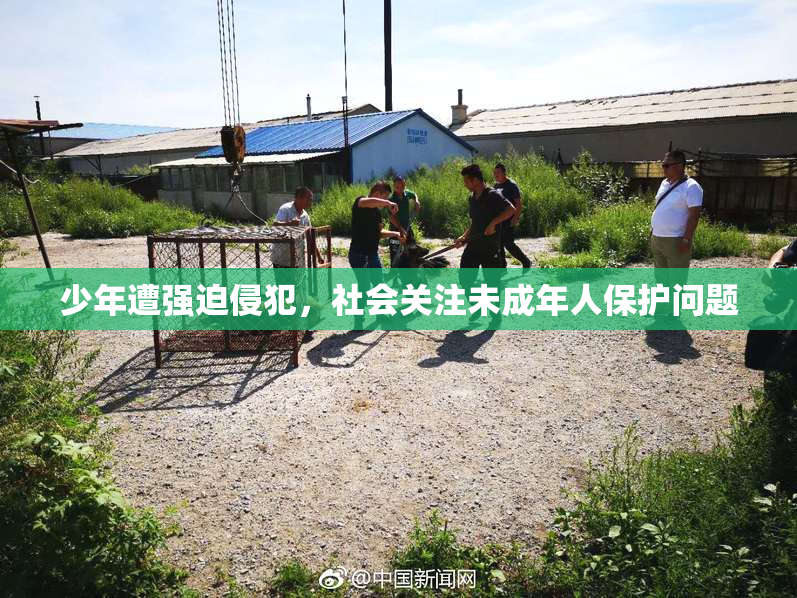 少年遭强迫侵犯，社会关注未成年人保护问题