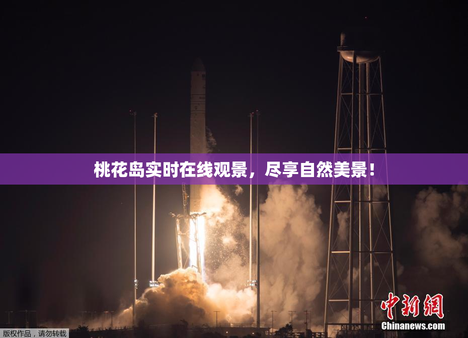 桃花岛实时在线观景，尽享自然美景！