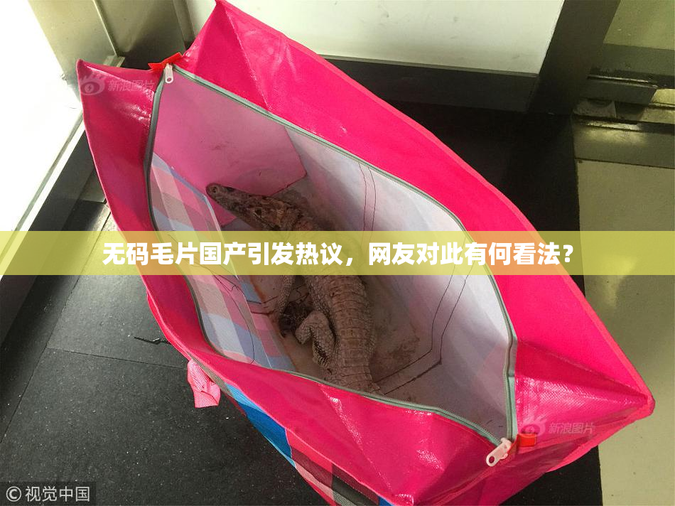 无码毛片国产引发热议，网友对此有何看法？