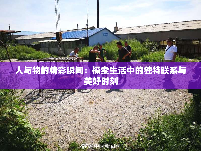 人与物的精彩瞬间：探索生活中的独特联系与美好时刻