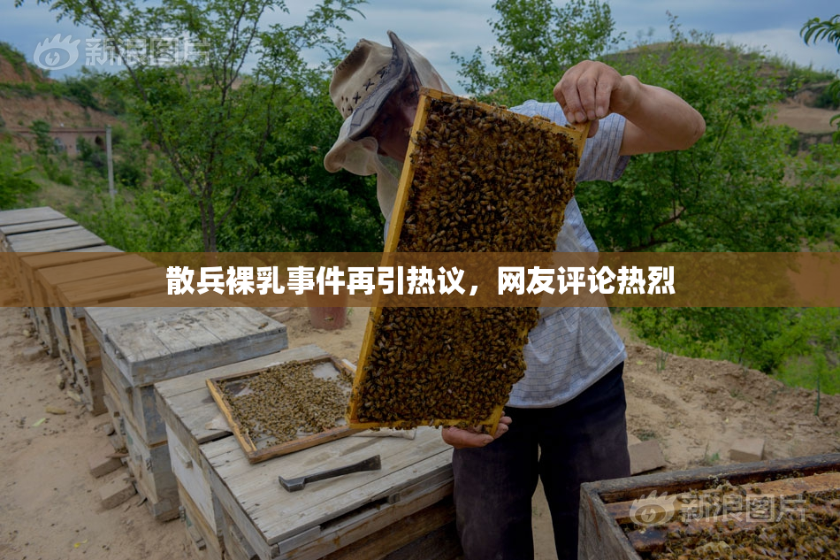 散兵裸乳事件再引热议，网友评论热烈