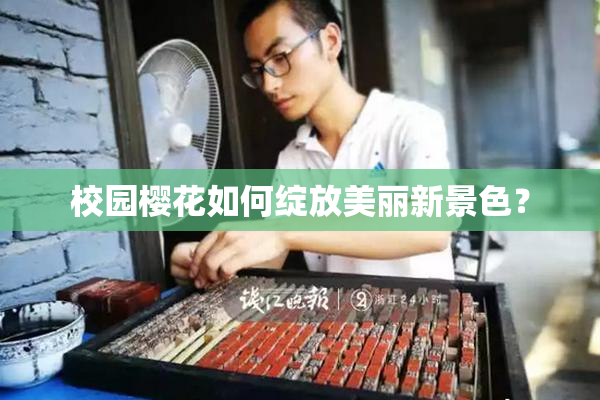 校园樱花如何绽放美丽新景色？
