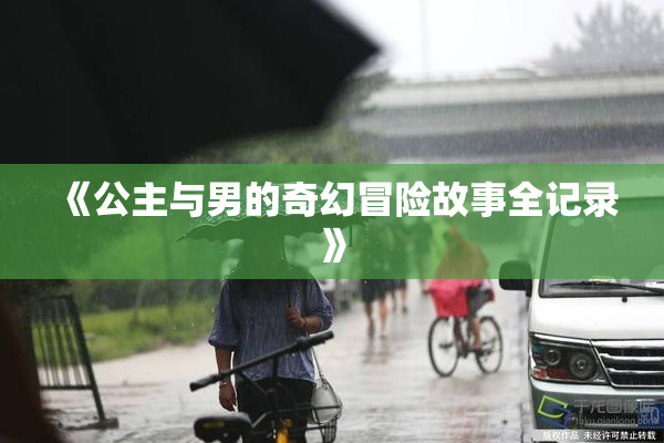《公主与男的奇幻冒险故事全记录》