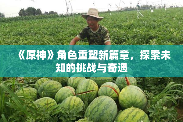 《原神》角色重塑新篇章，探索未知的挑战与奇遇