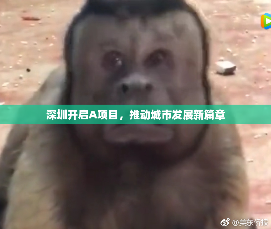 深圳开启A项目，推动城市发展新篇章