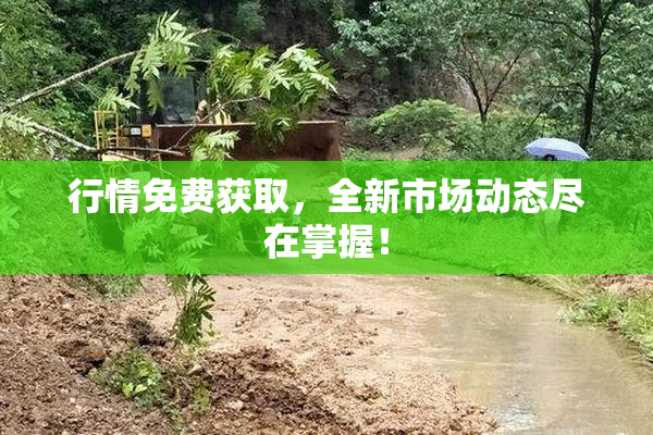 行情免费获取，全新市场动态尽在掌握！