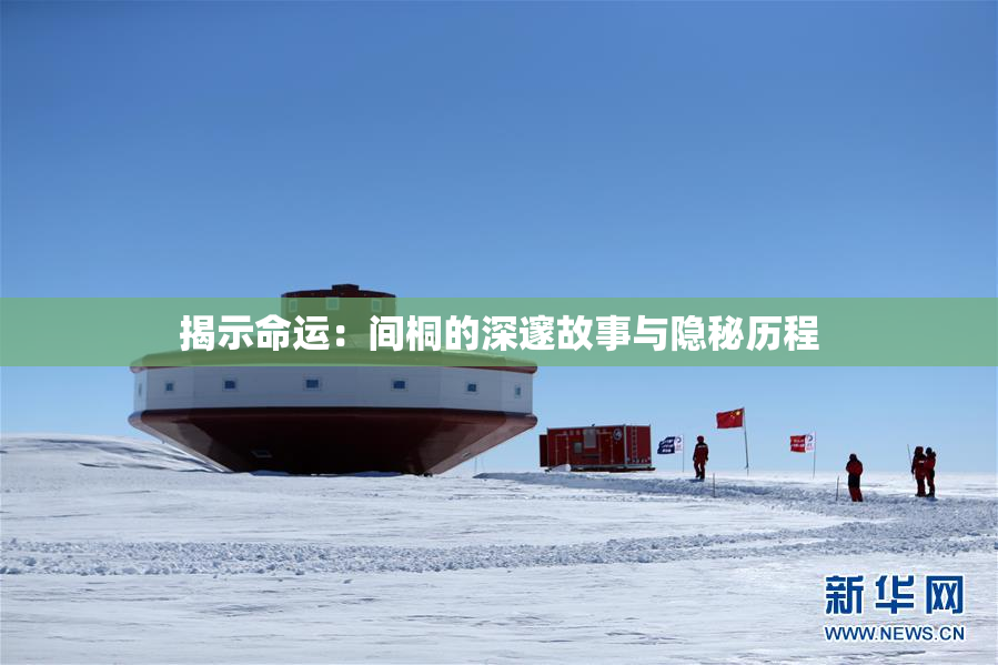 揭示命运：间桐的深邃故事与隐秘历程