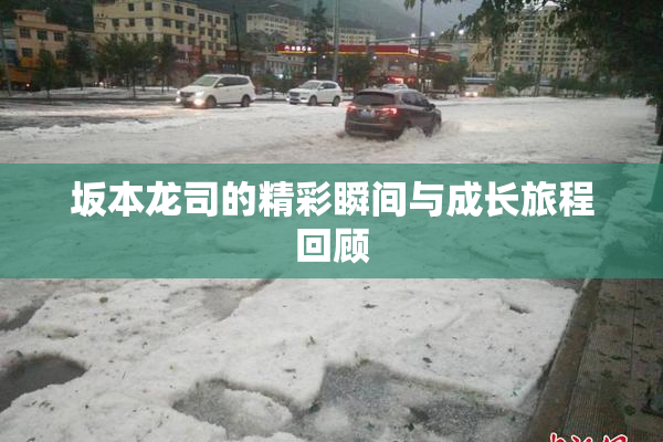 坂本龙司的精彩瞬间与成长旅程回顾