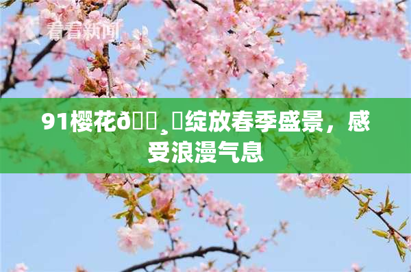 91樱花🌸‌绽放春季盛景，感受浪漫气息