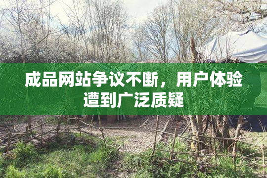 成品网站争议不断，用户体验遭到广泛质疑