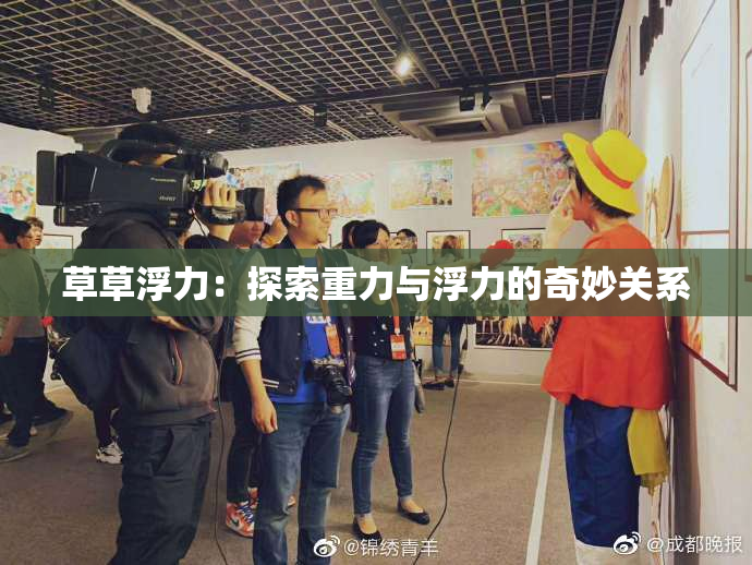 草草浮力：探索重力与浮力的奇妙关系