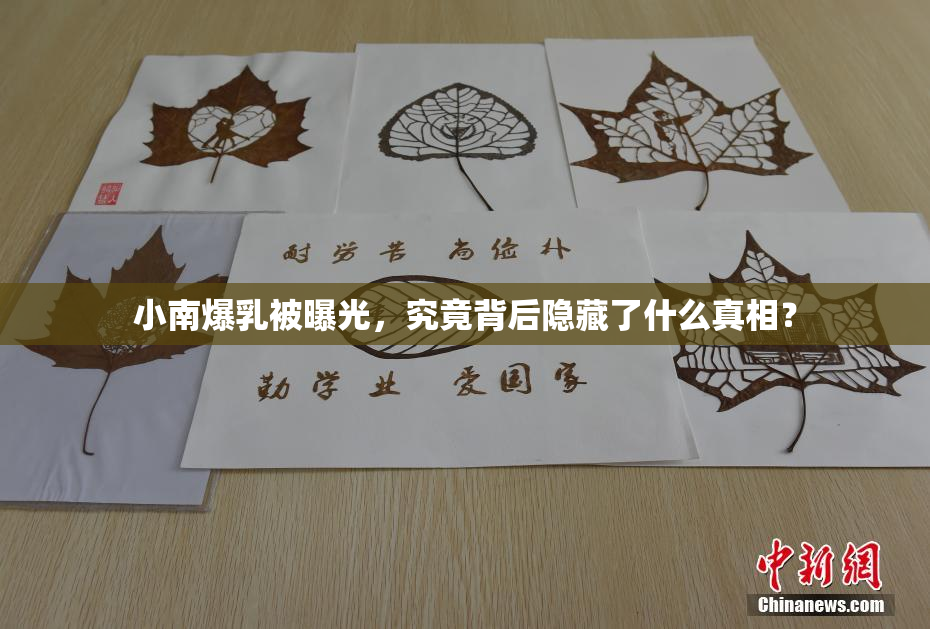 小南爆乳被曝光，究竟背后隐藏了什么真相？