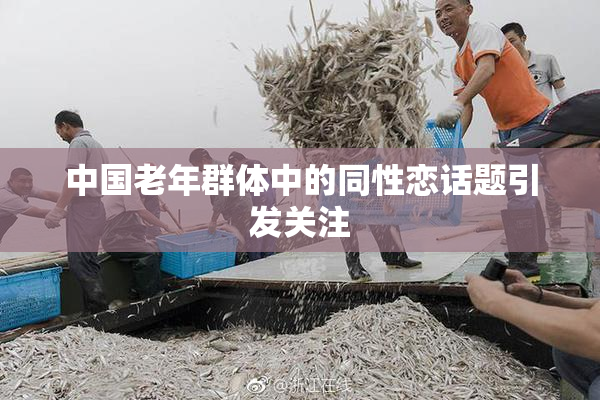 中国老年群体中的同性恋话题引发关注