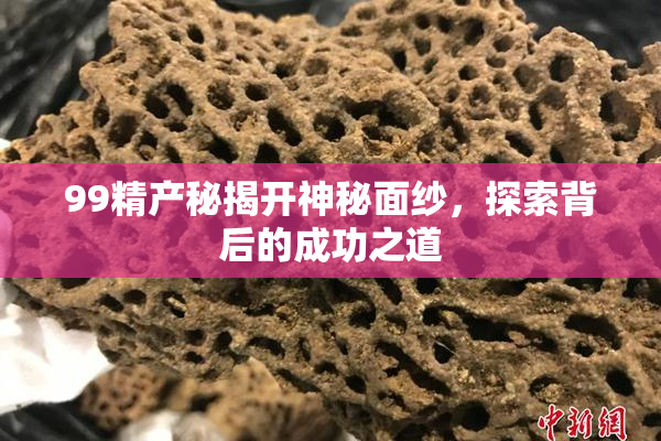 99精产秘揭开神秘面纱，探索背后的成功之道
