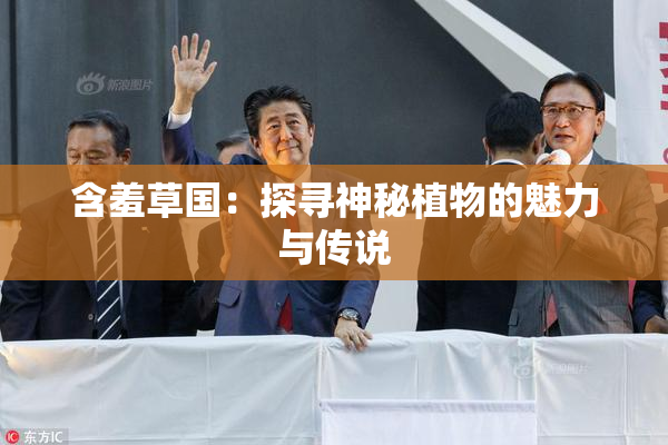 含羞草国：探寻神秘植物的魅力与传说