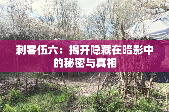 刺客伍六：揭开隐藏在暗影中的秘密与真相