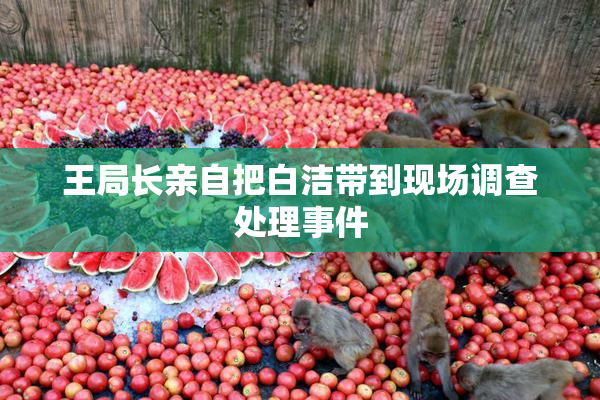 王局长亲自把白洁带到现场调查处理事件