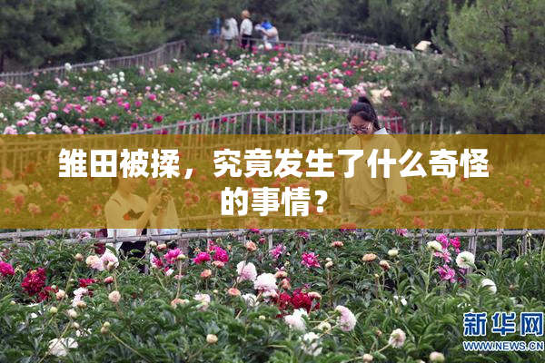 雏田被揉，究竟发生了什么奇怪的事情？