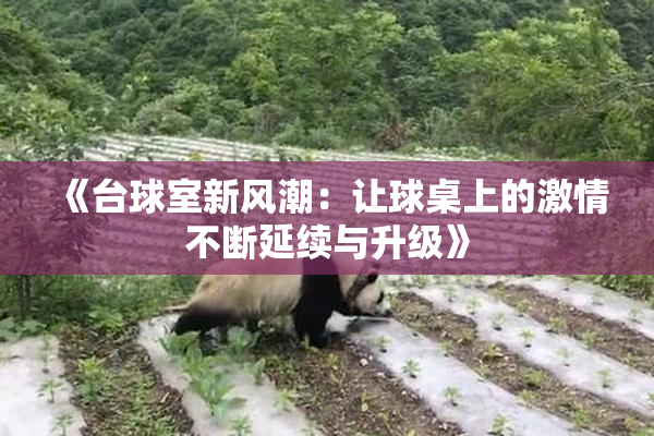 《台球室新风潮：让球桌上的激情不断延续与升级》