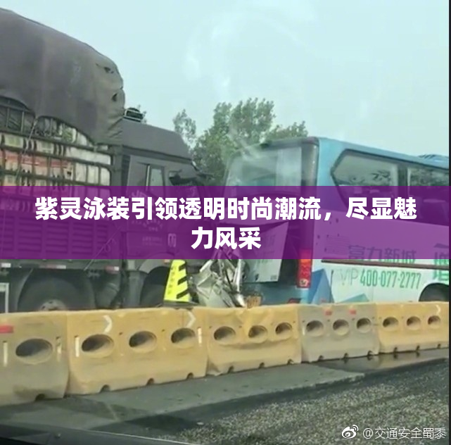 紫灵泳装引领透明时尚潮流，尽显魅力风采